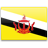 Brunei Darussalam  application form for United States of America residents.