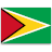 Guyana Tourist visa application form for United States of America residents.