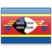 Swaziland (Eswatini) Tourist visa application form for United States of America residents.