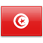 Tunisia Tourist visa application form for United States of America residents.
